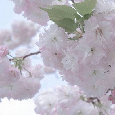 Furry插画构图灵感兽圈社群